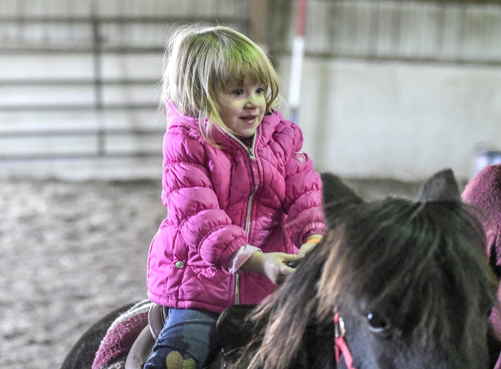 Shiloh Stables
